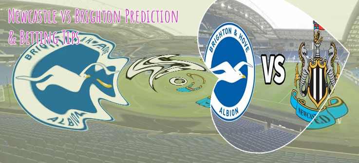 Newcastle brighton predictions