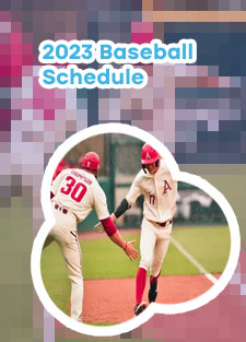 Razorback baseball score