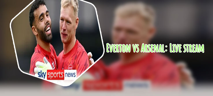 Sky sports everton