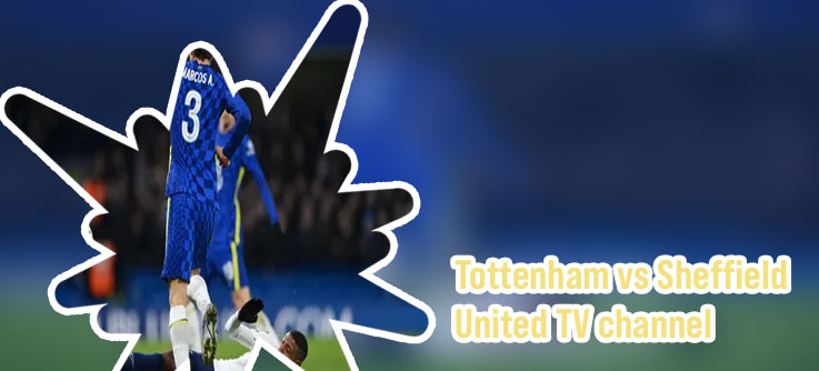 Tottenham live free